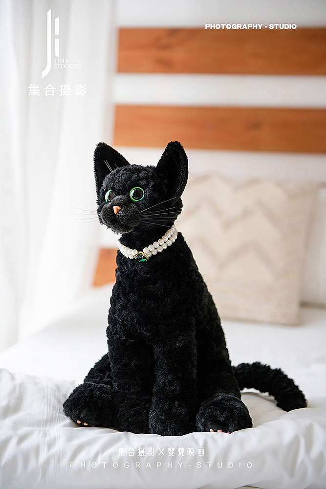 产品摄影X宠物玩偶拍摄X集合