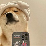 凌感视界的头像