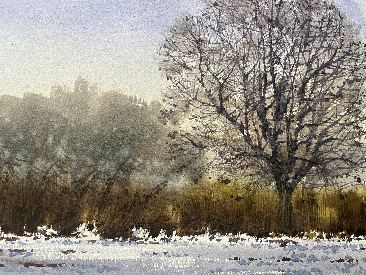 2025 二月 每日一画（图ZMzg2OTY4NjY0） - 绘画 - 站酷设计师孙小良的水彩画原创素材 - 站酷ZCOOL