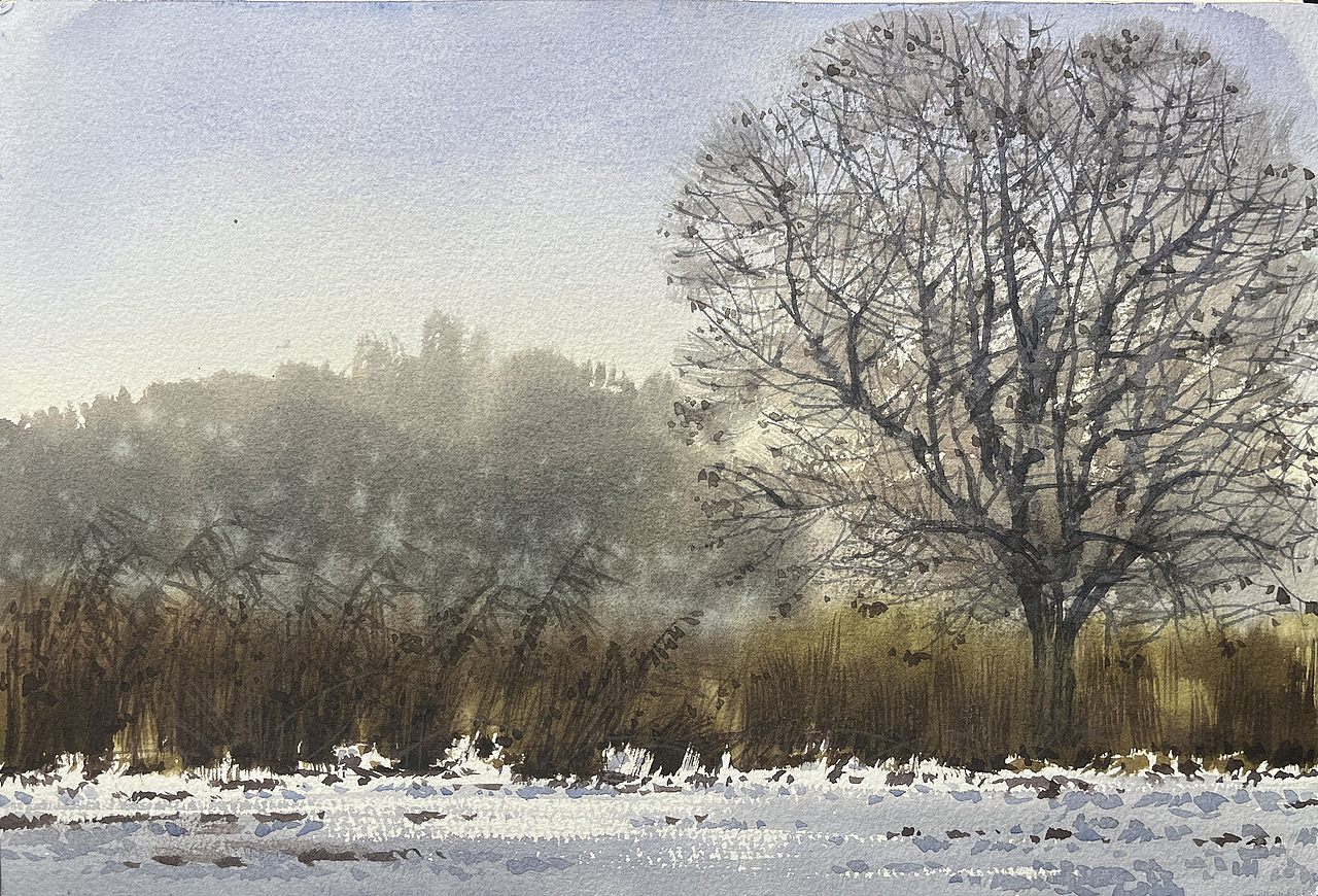 2025 二月 每日一画（图ZMzg2OTY4NzEy） - 绘画 - 站酷设计师孙小良的水彩画原创素材 - 站酷ZCOOL