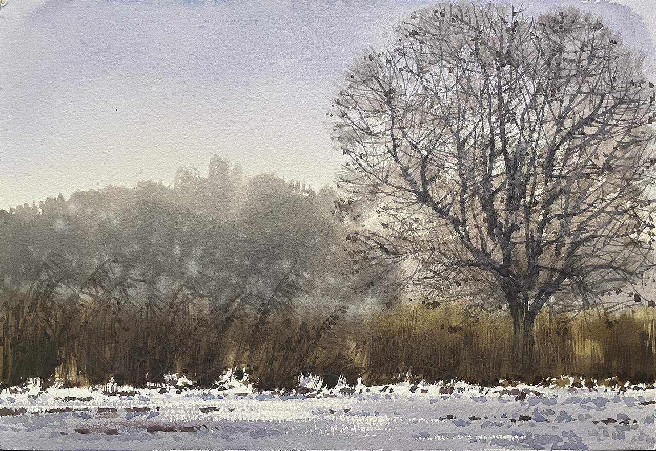 2025 二月 每日一画（图ZMzg2OTY4NzA4） - 绘画 - 站酷设计师孙小良的水彩画原创素材 - 站酷ZCOOL