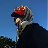 本人不吃周的头像
