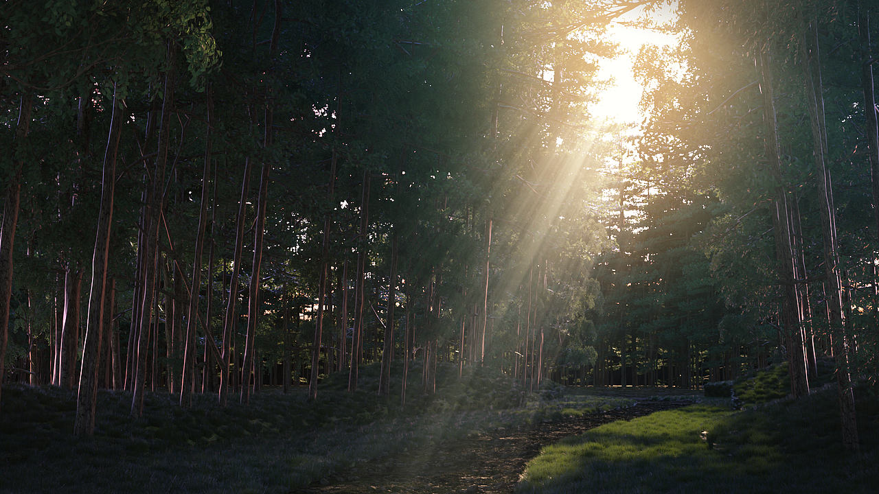 ✨ 光影交织,营造梦幻氛围。