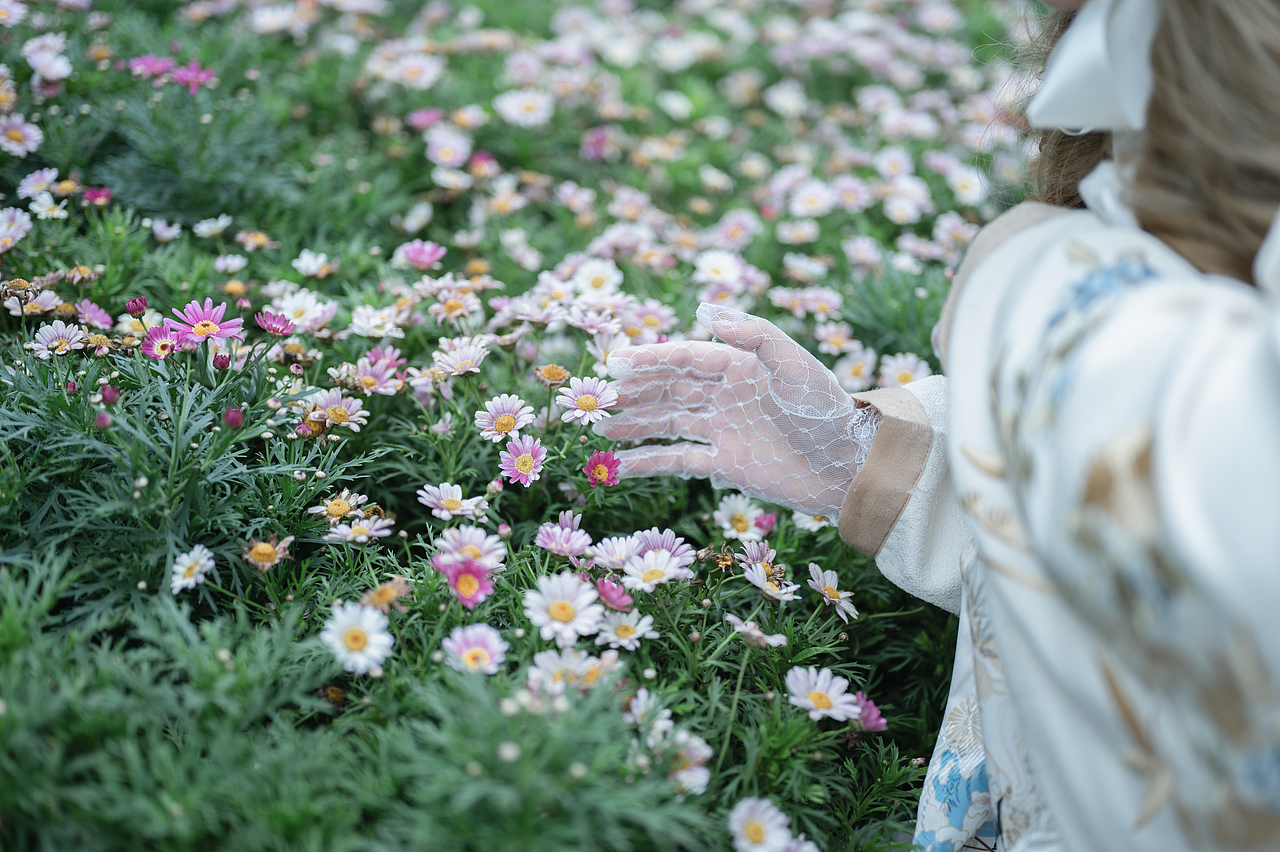 汉洋折衷 | 又逢阴雨天