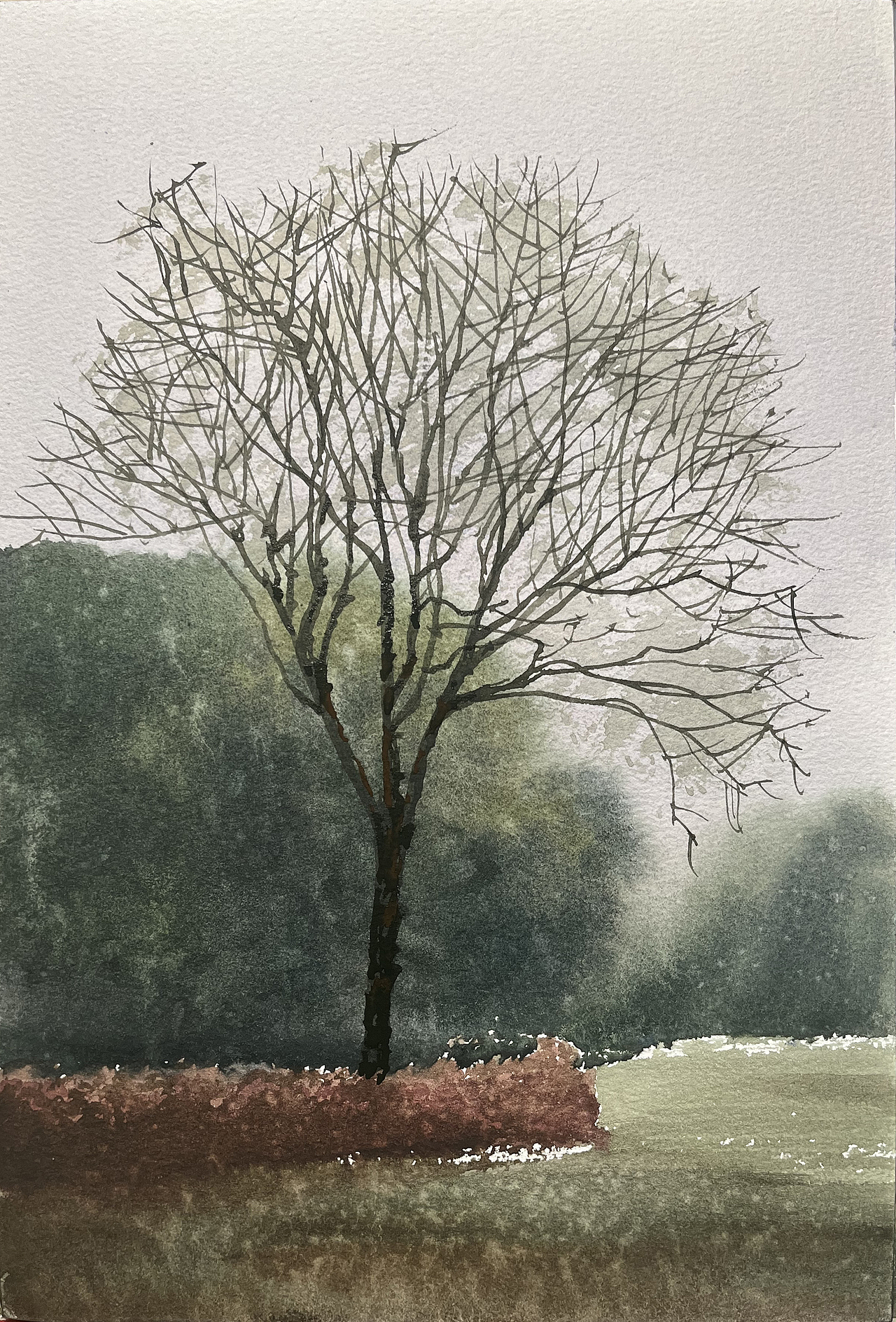 2025 二月 每日一画（图ZMzg3MDYxMjQ0） - 绘画 - 站酷设计师孙小良的水彩画原创素材 - 站酷ZCOOL