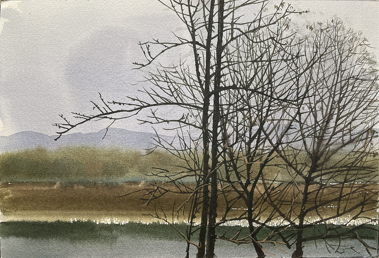 2025 二月 每日一画（图ZMzg3MDYxMzk2） - 绘画 - 站酷设计师孙小良的水彩画原创素材 - 站酷ZCOOL