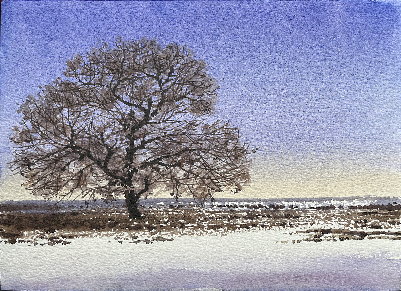 2025 二月 每日一画（图ZMzg3MDYxODg0） - 绘画 - 站酷设计师孙小良的水彩画原创素材 - 站酷ZCOOL