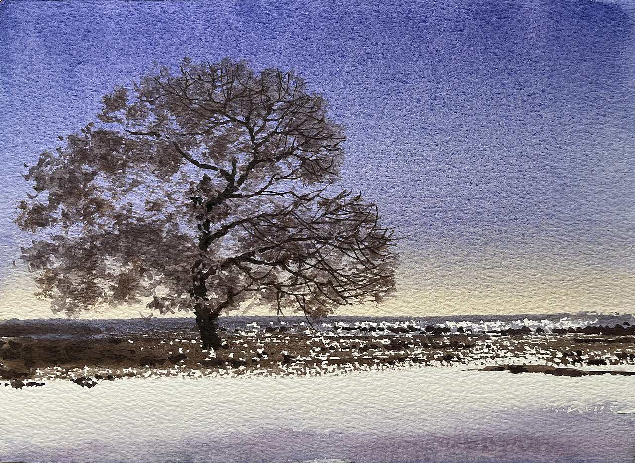 2025 二月 每日一画（图ZMzg3MDYxOTEy） - 绘画 - 站酷设计师孙小良的水彩画原创素材 - 站酷ZCOOL