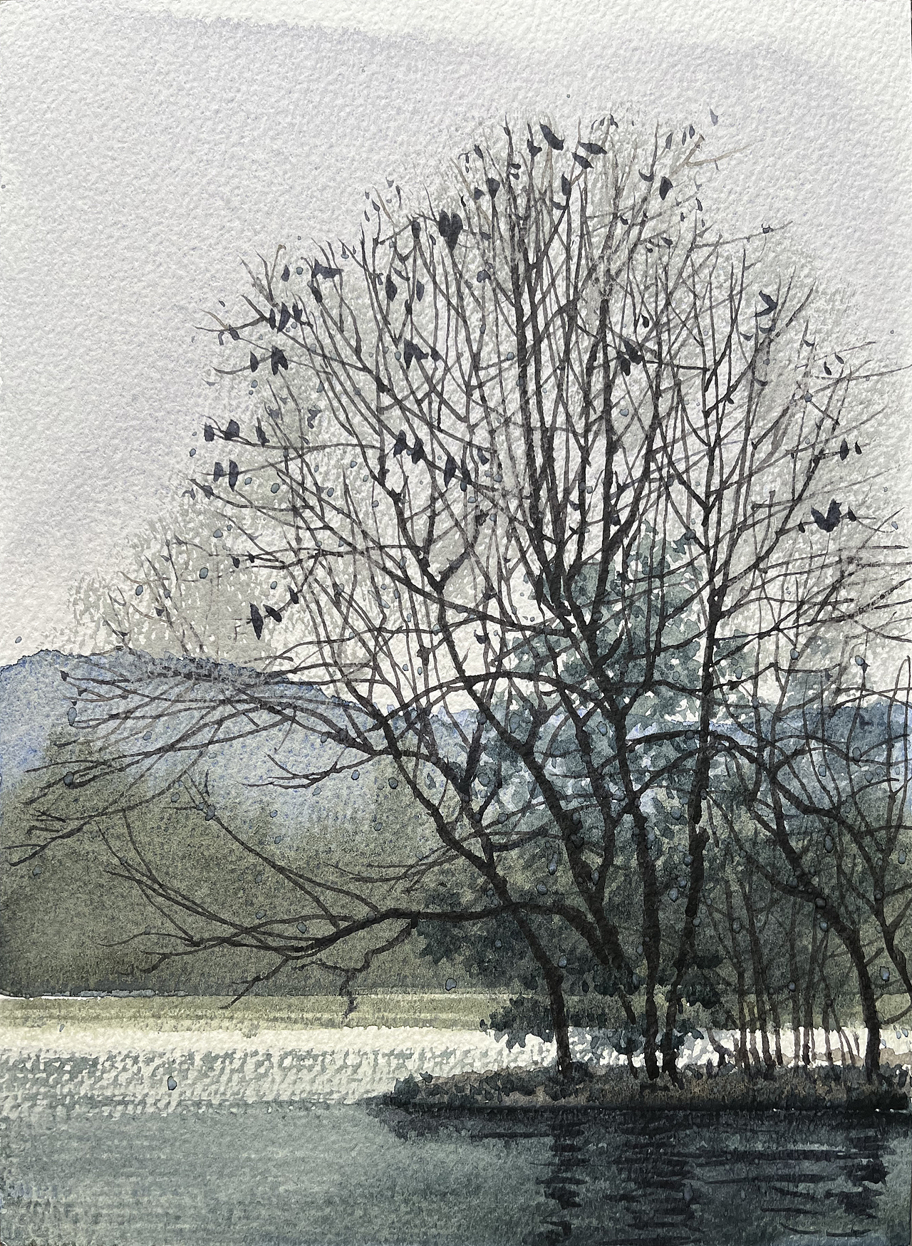 2025 二月 每日一画（图ZMzg3MDYyMTg0） - 绘画 - 站酷设计师孙小良的水彩画原创素材 - 站酷ZCOOL