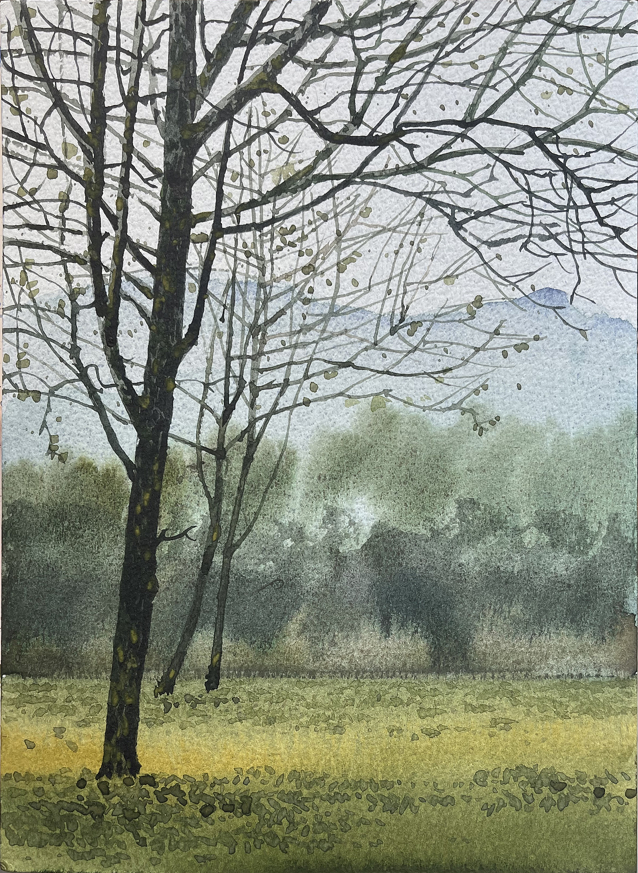 2025 二月 每日一画（图ZMzg3MDYyMjAw） - 绘画 - 站酷设计师孙小良的水彩画原创素材 - 站酷ZCOOL