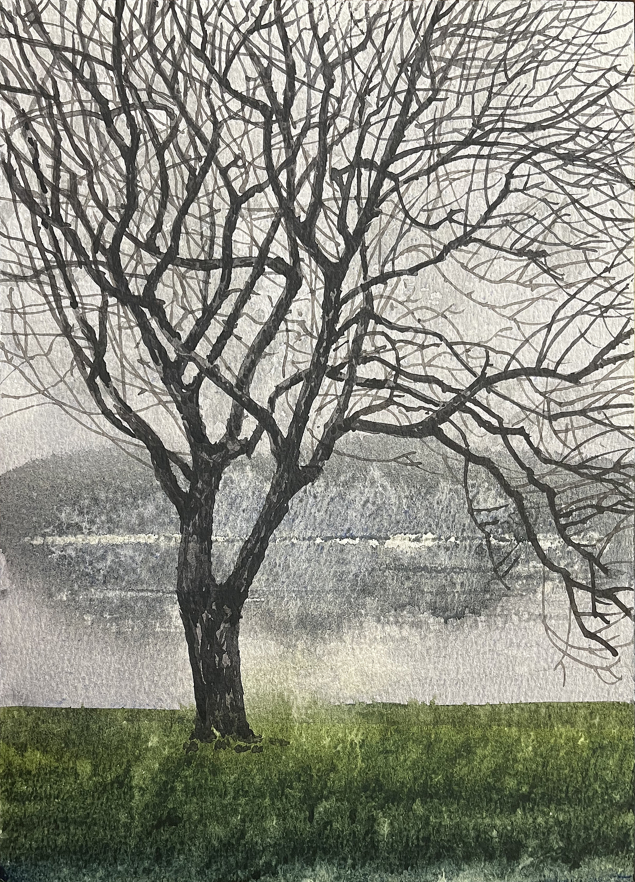 2025 二月 每日一画（图ZMzg3MDYyMTgw） - 绘画 - 站酷设计师孙小良的水彩画原创素材 - 站酷ZCOOL