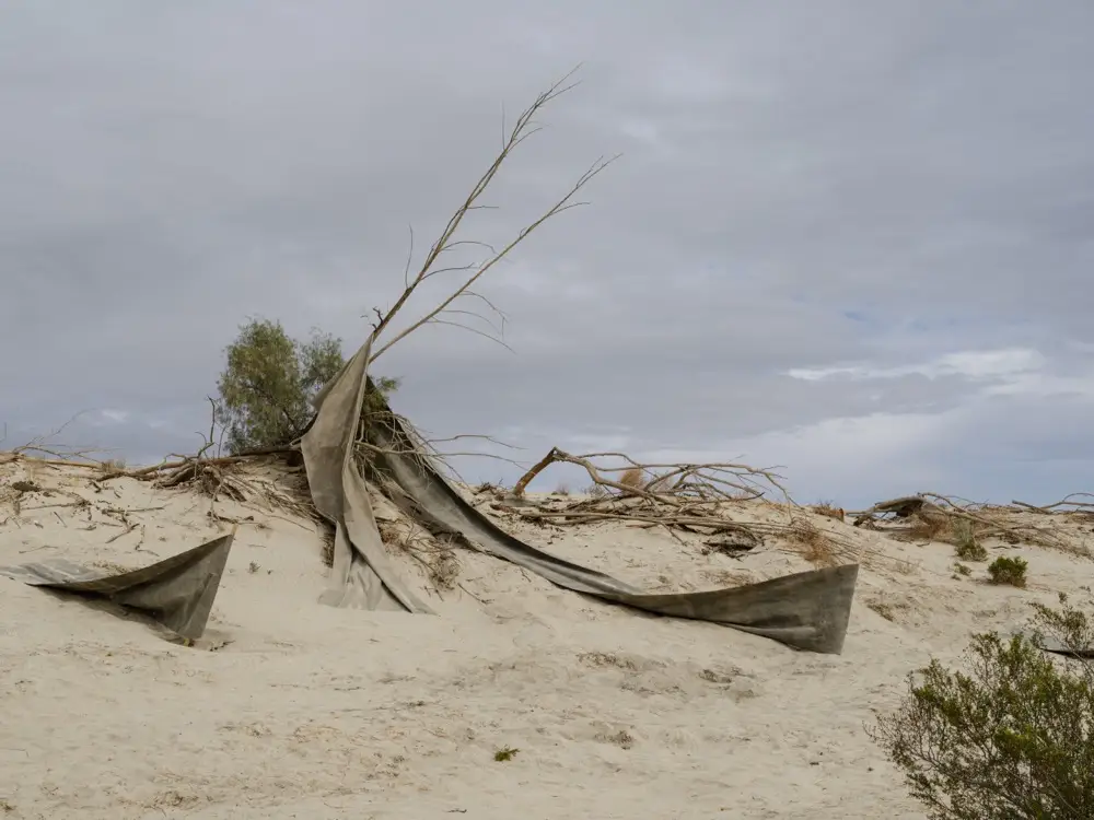 What Remains，Muhannad Shono