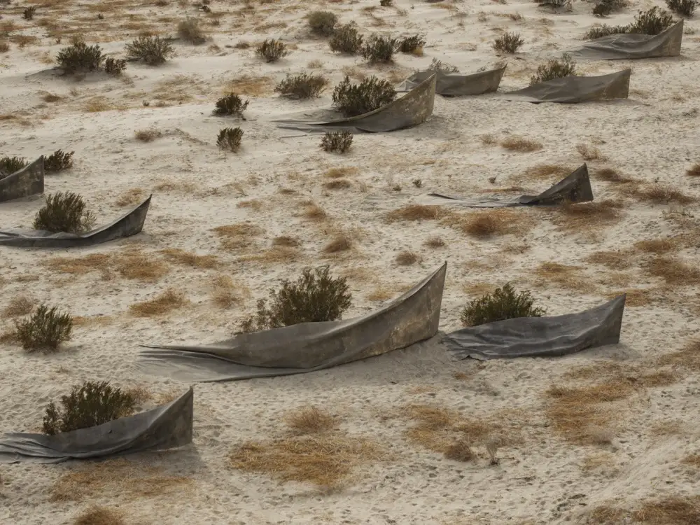 米兰三年展将启幕/杨明洁设计博物馆获德国iF设计金奖/曝苹果正研发带摄像头的AirPods