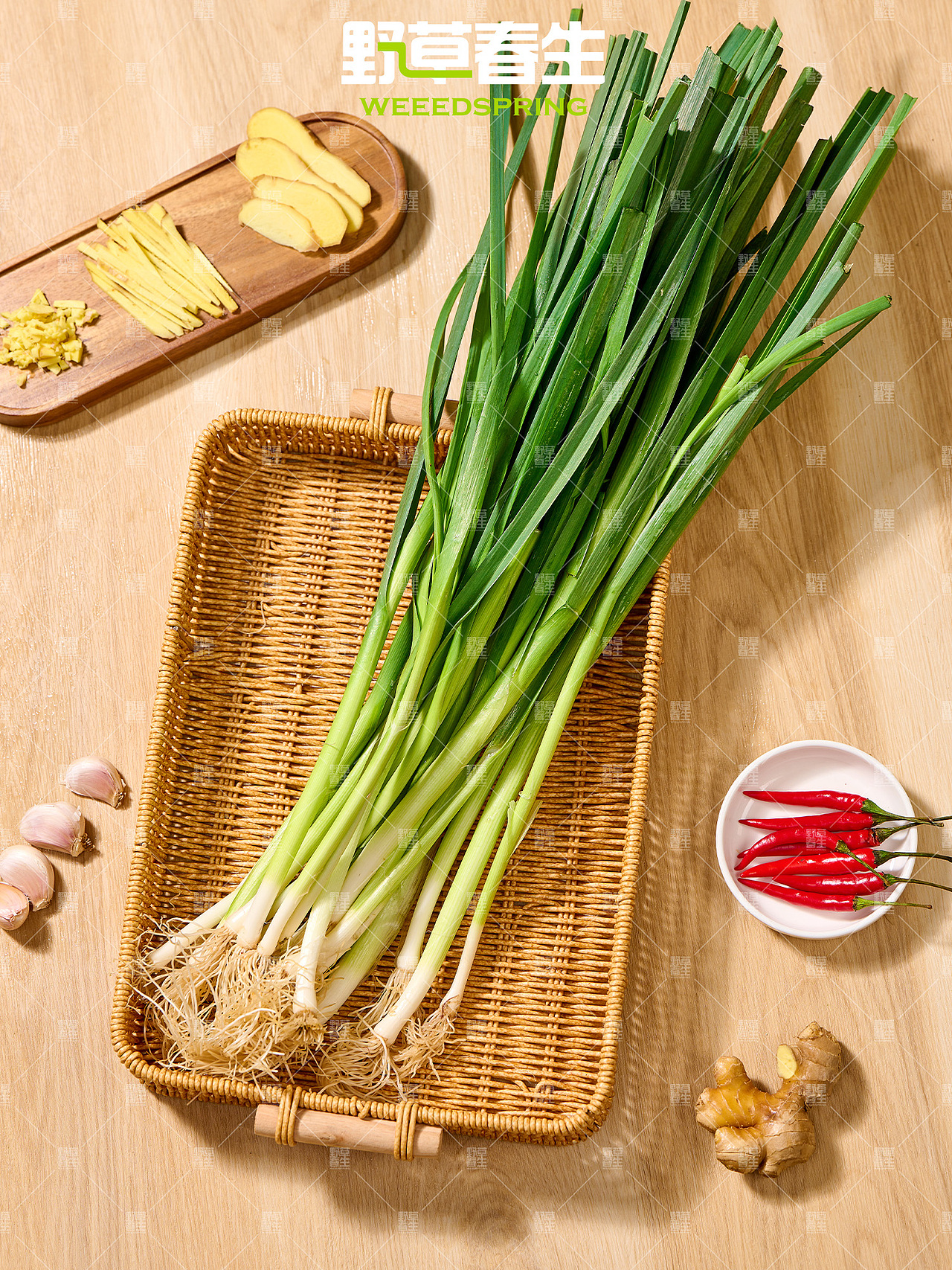 野草春生X青蒜摄影