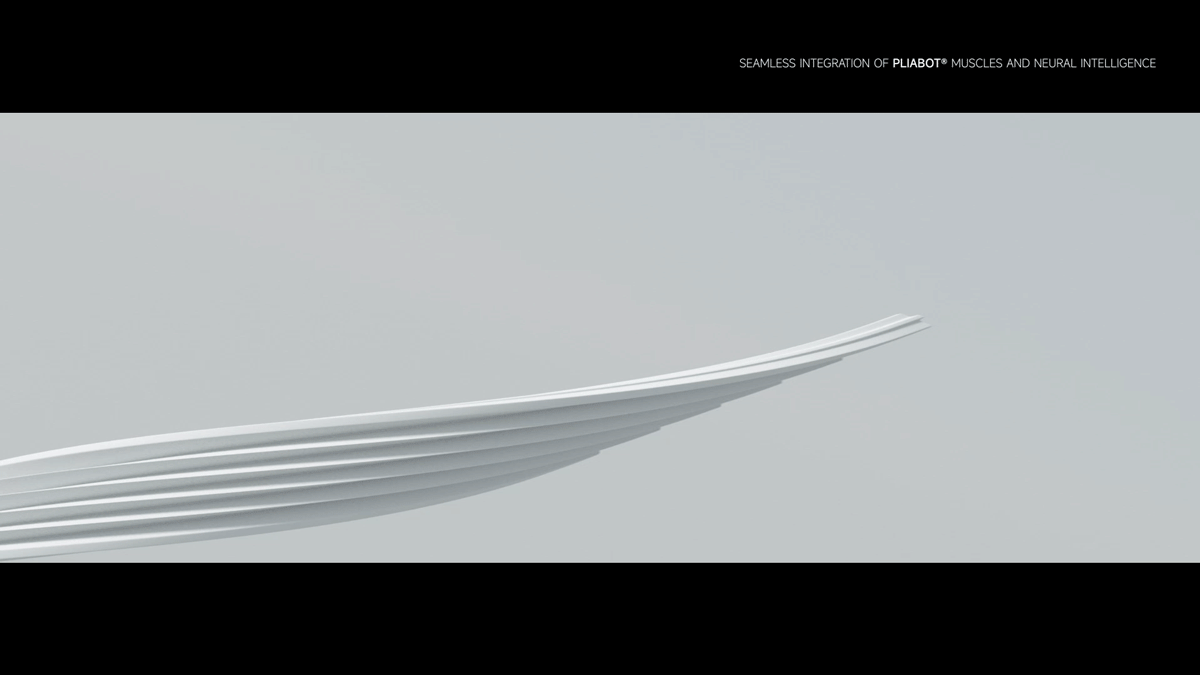 动态设计 | 2024（图ZMzg3MTAyMjIw） - 动画/影视 - 站酷设计师Shae_He原创素材 - 站酷ZCOOL