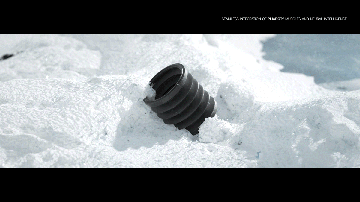 动态设计 | 2024（图ZMzg3MTAyMjMy） - 动画/影视 - 站酷设计师Shae_He原创素材 - 站酷ZCOOL