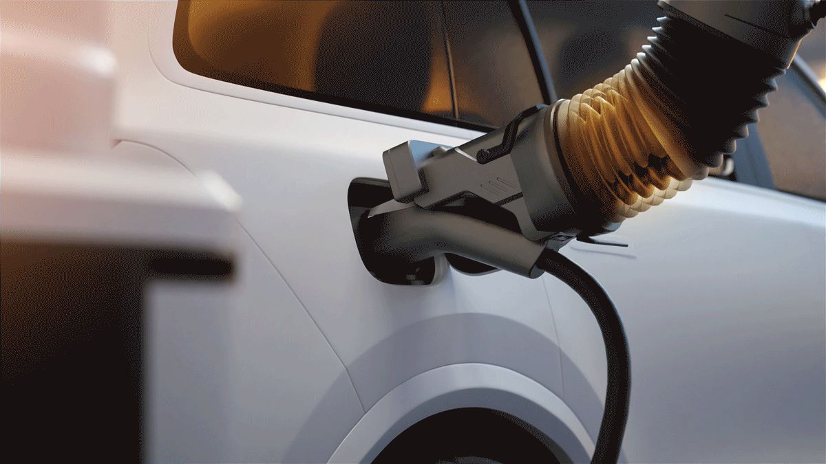 动态设计 | 2024（图ZMzg3MTAyMjcy） - 动画/影视 - 站酷设计师Shae_He原创素材 - 站酷ZCOOL