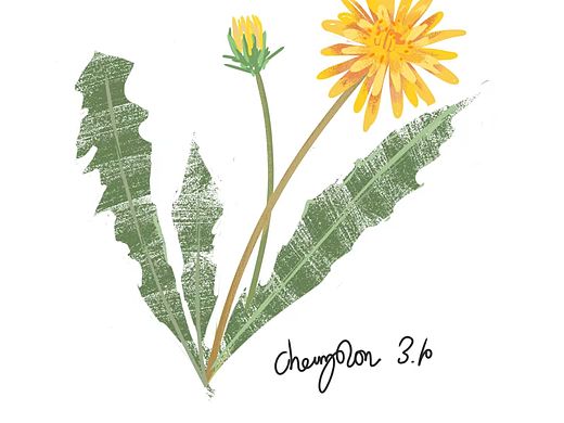 花草绘