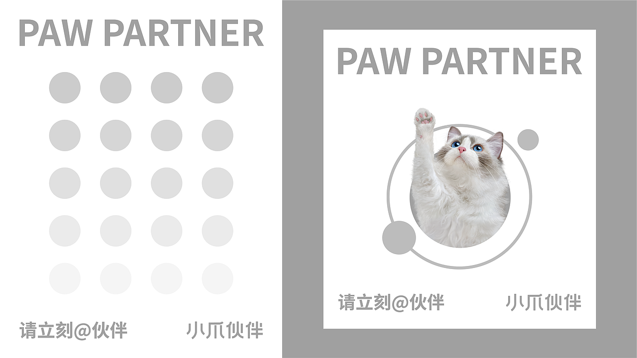 关于我做了一套不花里胡哨的宠物品牌 | 小爪伙伴（图ZMzg3MTExMTUy） - 品牌 - 站酷设计师灵感青年原创素材 - 站酷ZCOOL