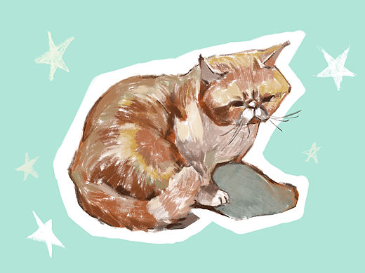 宠物插画