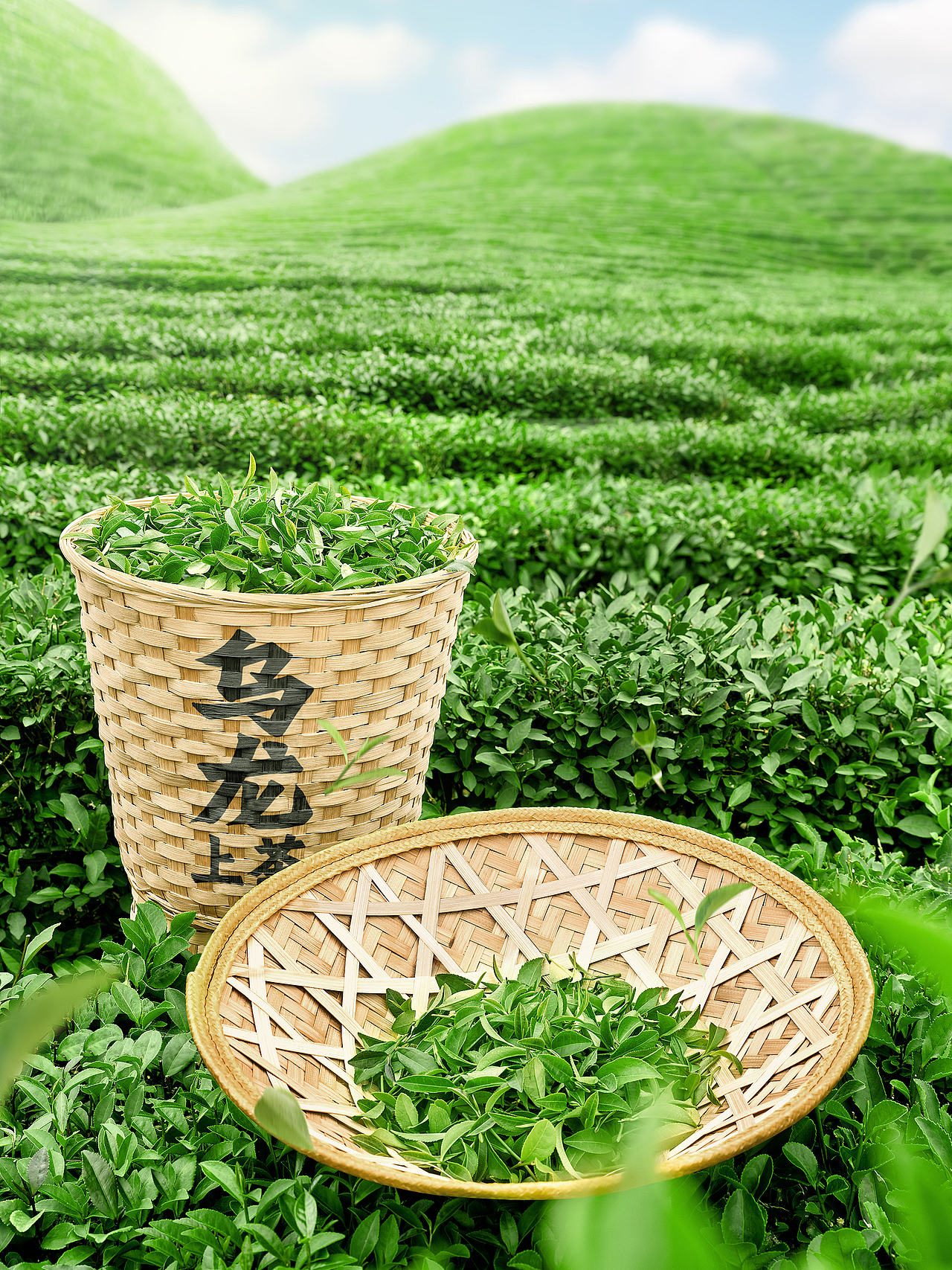 东鹏上茶(图ZMzg3MTQzMjY4) - 包装 - 站酷设计师靳刘高设计原创素材 - 站酷ZCOOL