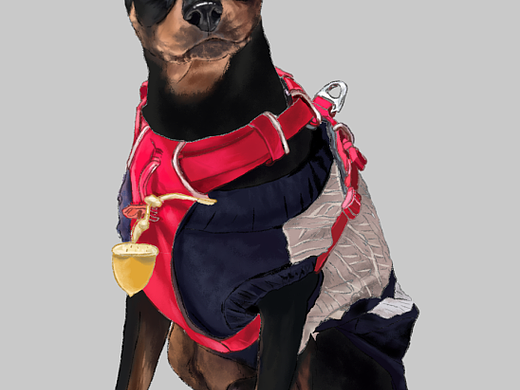 狗