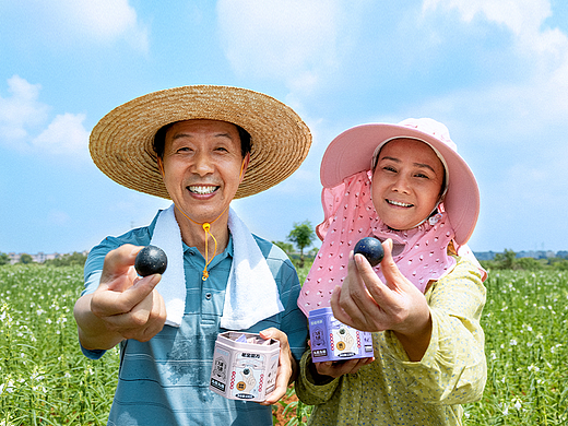 老金磨方x力虎｜芝麻开花节节高
