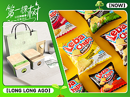 14年前，我在站酷种下第一棵树