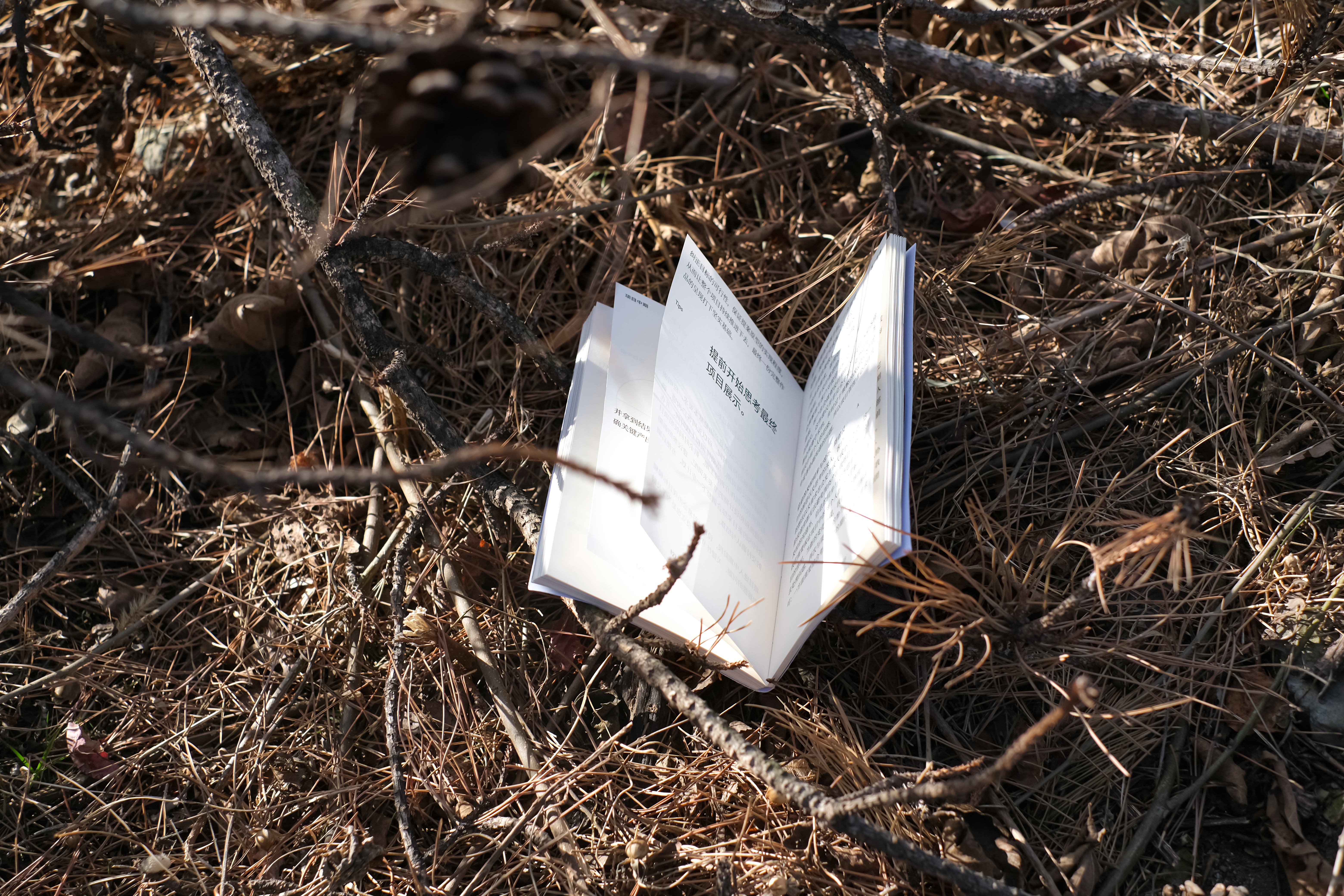 ALINE｜单一项目设计管理说明书（图ZMTUwNDQwMDg=） - 书籍 - 站酷设计师ALINESTUDIO原创素材 - 站酷ZCOOL