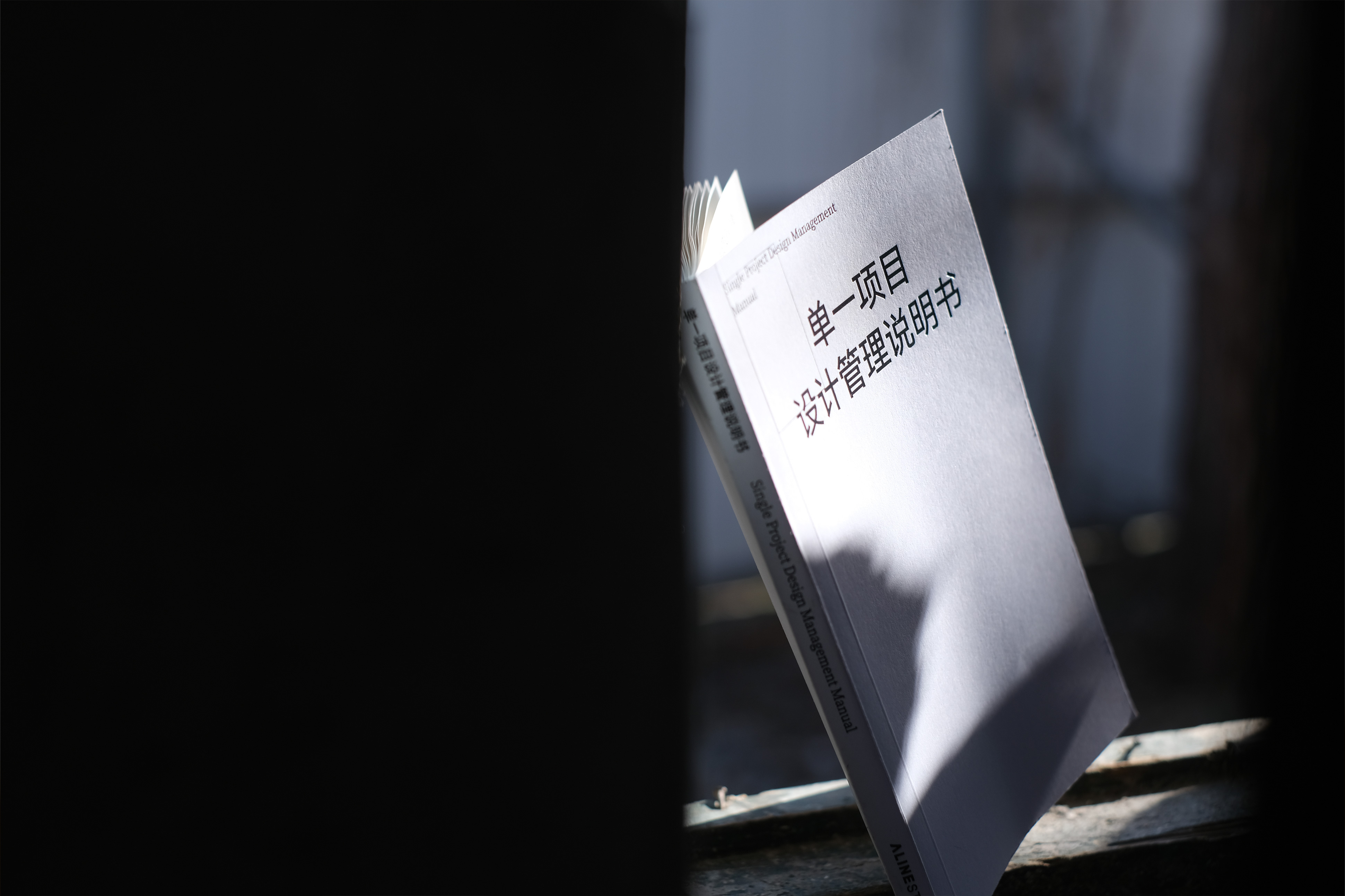 ALINE｜单一项目设计管理说明书（图ZMTUwNDQwNDA=） - 书籍 - 站酷设计师ALINESTUDIO原创素材 - 站酷ZCOOL