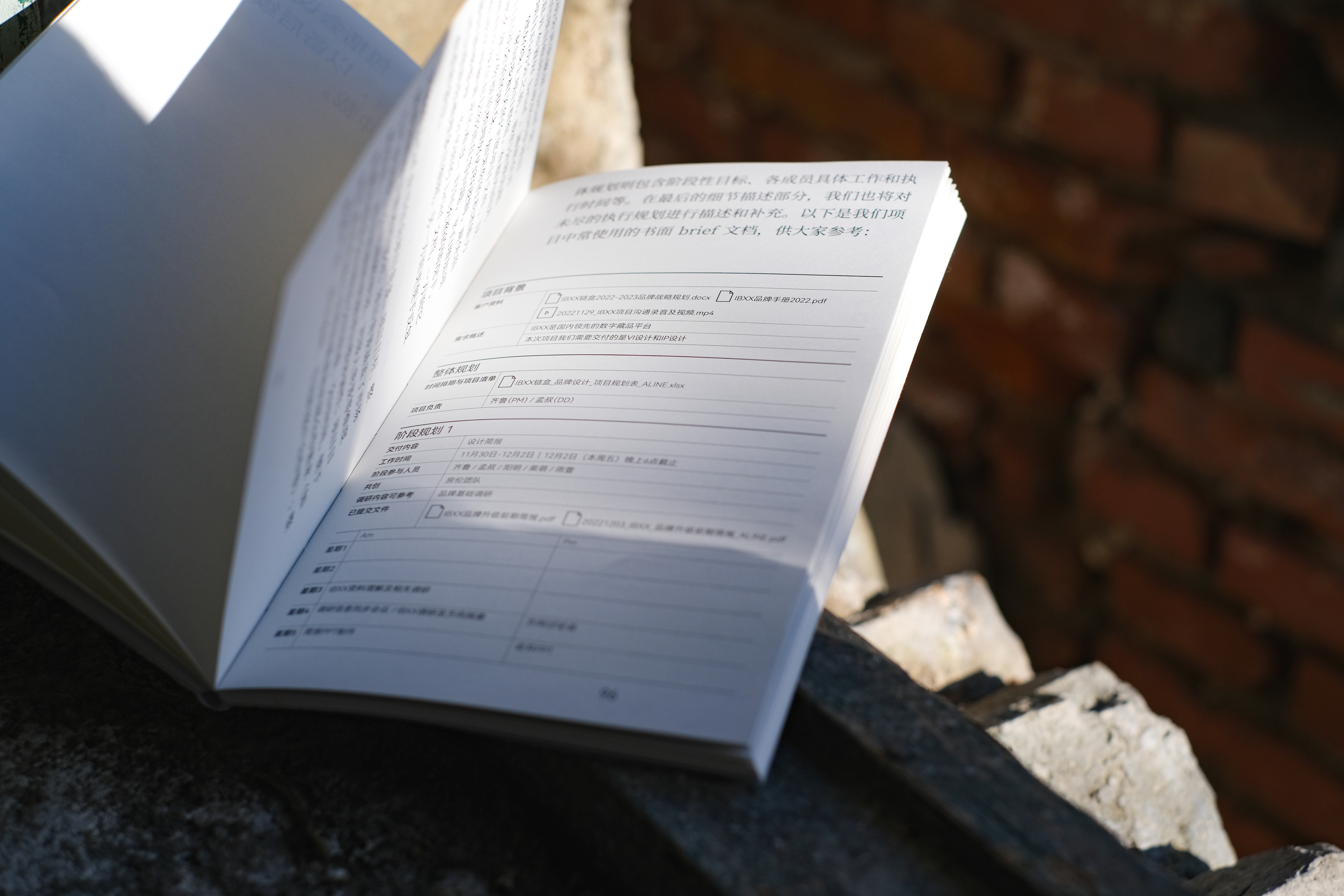 ALINE｜单一项目设计管理说明书（图ZMTUwNDQwNDQ=） - 书籍 - 站酷设计师ALINESTUDIO原创素材 - 站酷ZCOOL