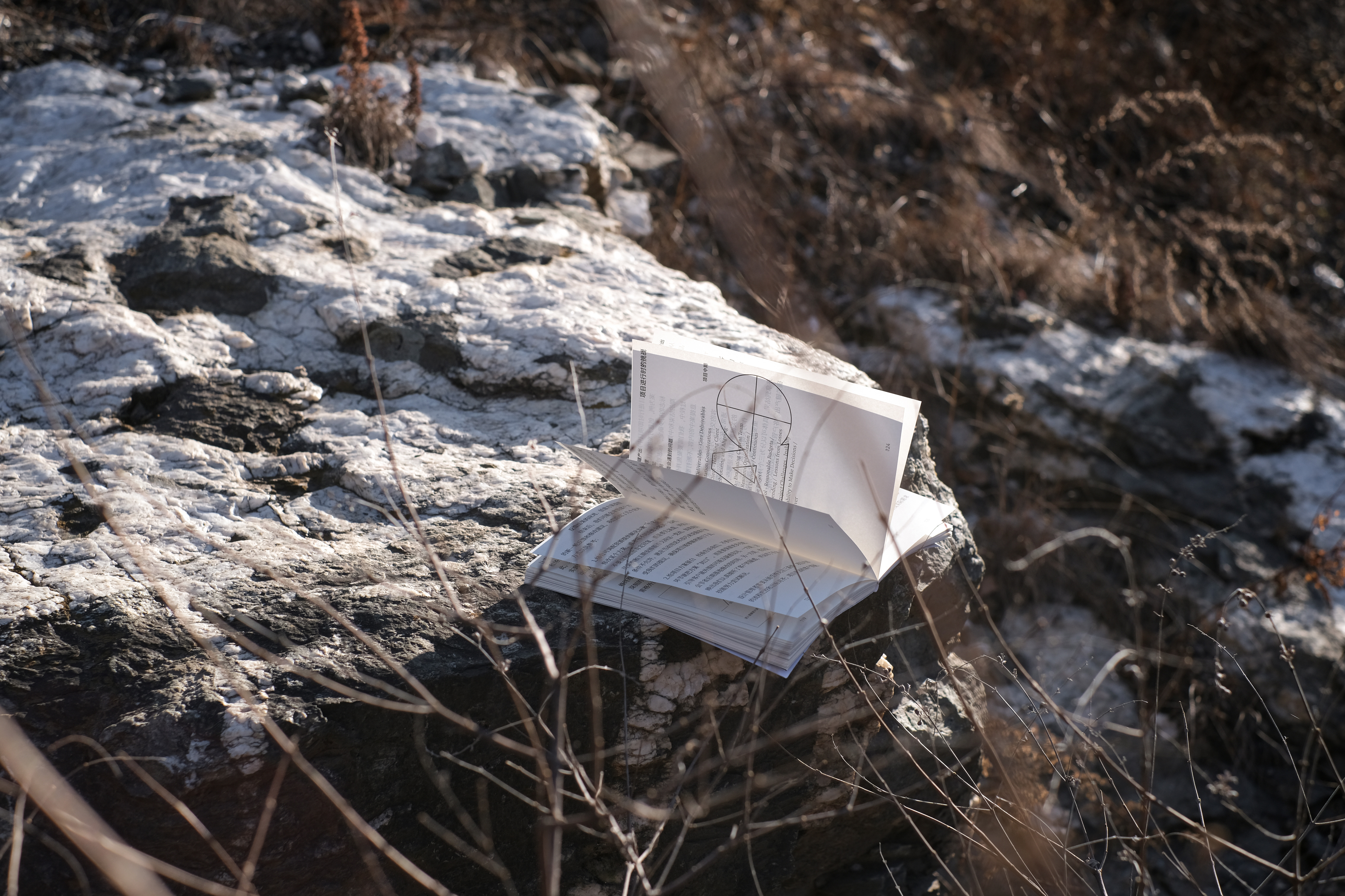 ALINE｜单一项目设计管理说明书（图ZMTUwNDQwNTI=） - 书籍 - 站酷设计师ALINESTUDIO原创素材 - 站酷ZCOOL