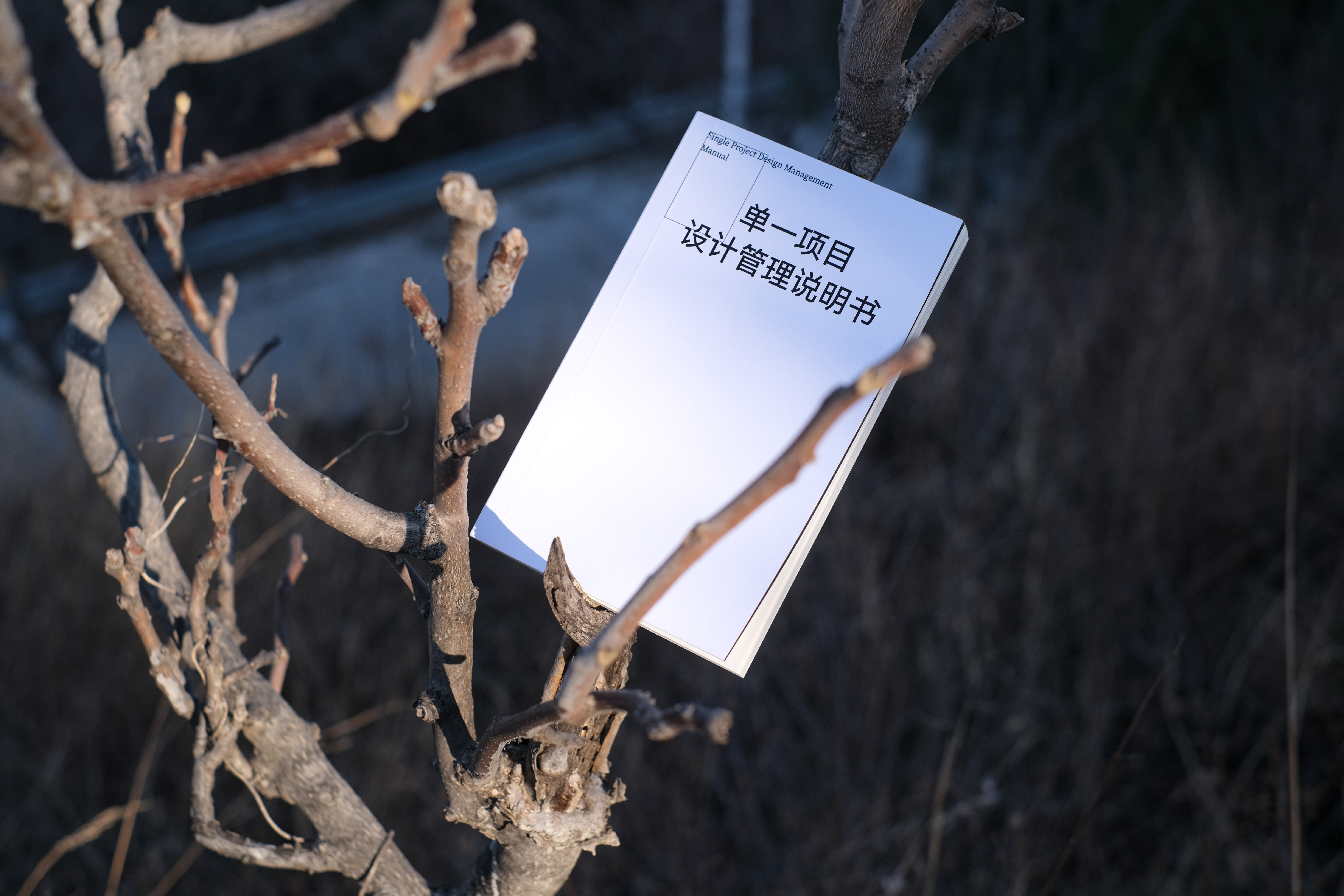 ALINE｜单一项目设计管理说明书（图ZMTUwNDQwNTY=） - 书籍 - 站酷设计师ALINESTUDIO原创素材 - 站酷ZCOOL