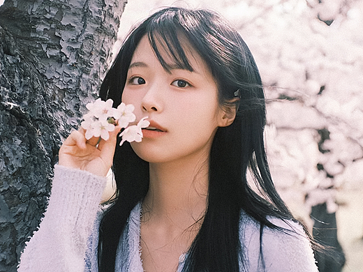 花开的季节