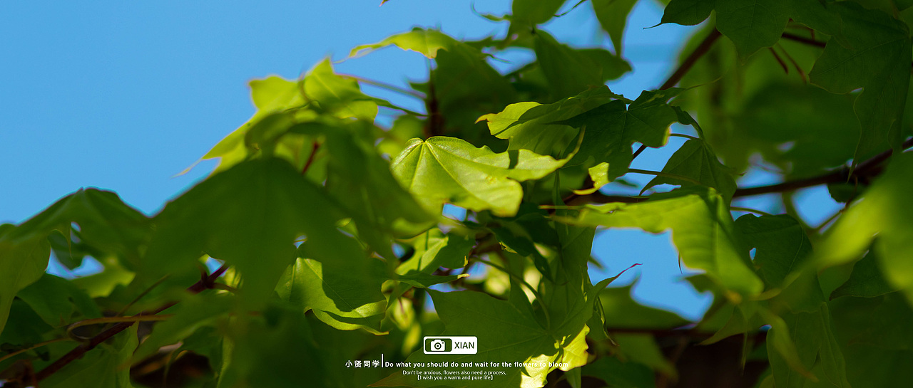 夏-徒留我在这炽热夏日，被回忆的潮水狠狠拍击（图ZMzg3MTg2NDAw） - 风光摄影 - 站酷设计师小贤同学吖原创素材 - 站酷ZCOOL