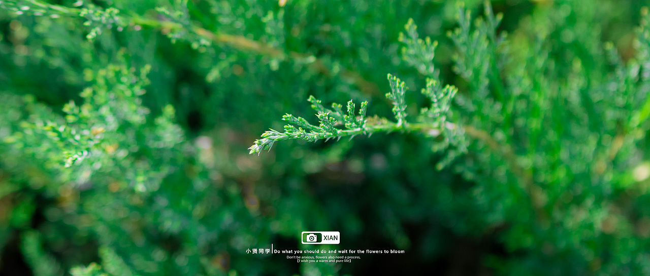 夏-徒留我在这炽热夏日，被回忆的潮水狠狠拍击（图ZMzg3MTg2NDA4） - 风光摄影 - 站酷设计师小贤同学吖原创素材 - 站酷ZCOOL