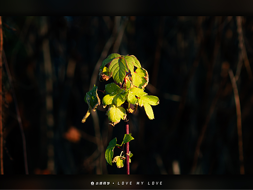 去探索生活的无限可能，去感受自由的风在发丝间穿梭