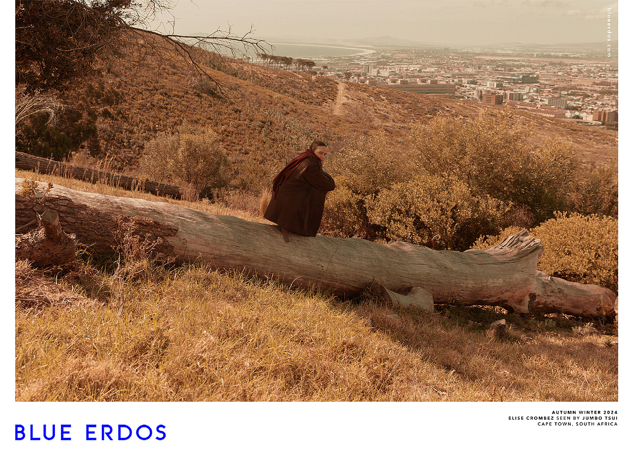 BLUE ERDOS后期修图案例分享