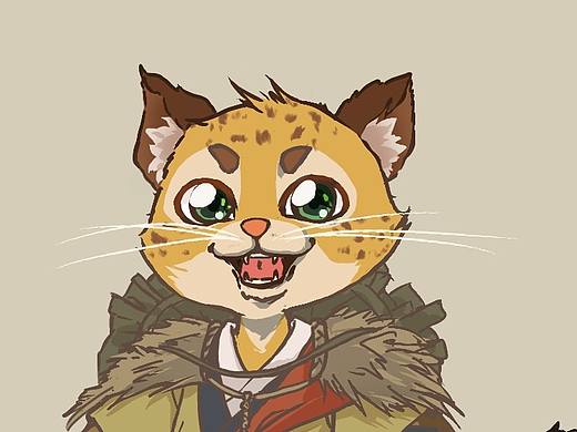 申小豹（练习）