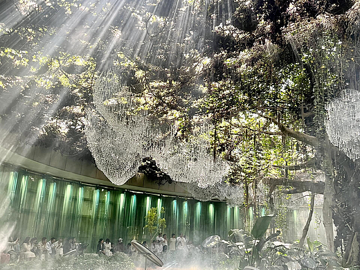 灯光装置艺术：维护与可持续发展的探索