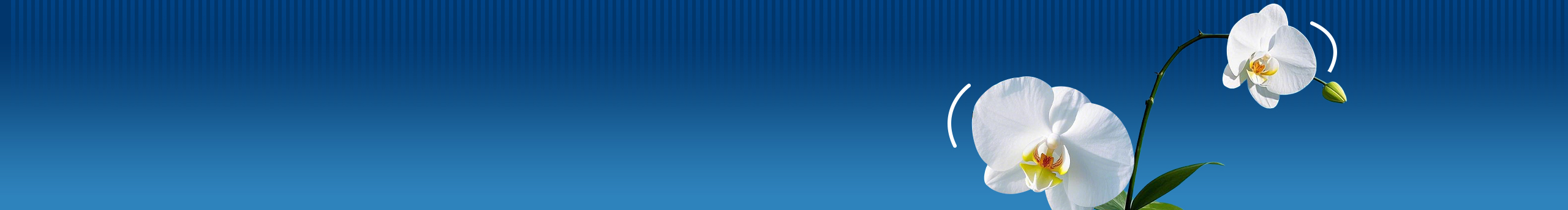 一玖柒柒的個(gè)人主頁（封面預(yù)覽） - 主頁封面設(shè)置 - 站酷設(shè)計(jì)師一玖柒柒原創(chuàng)素材 - 站酷ZCOOL