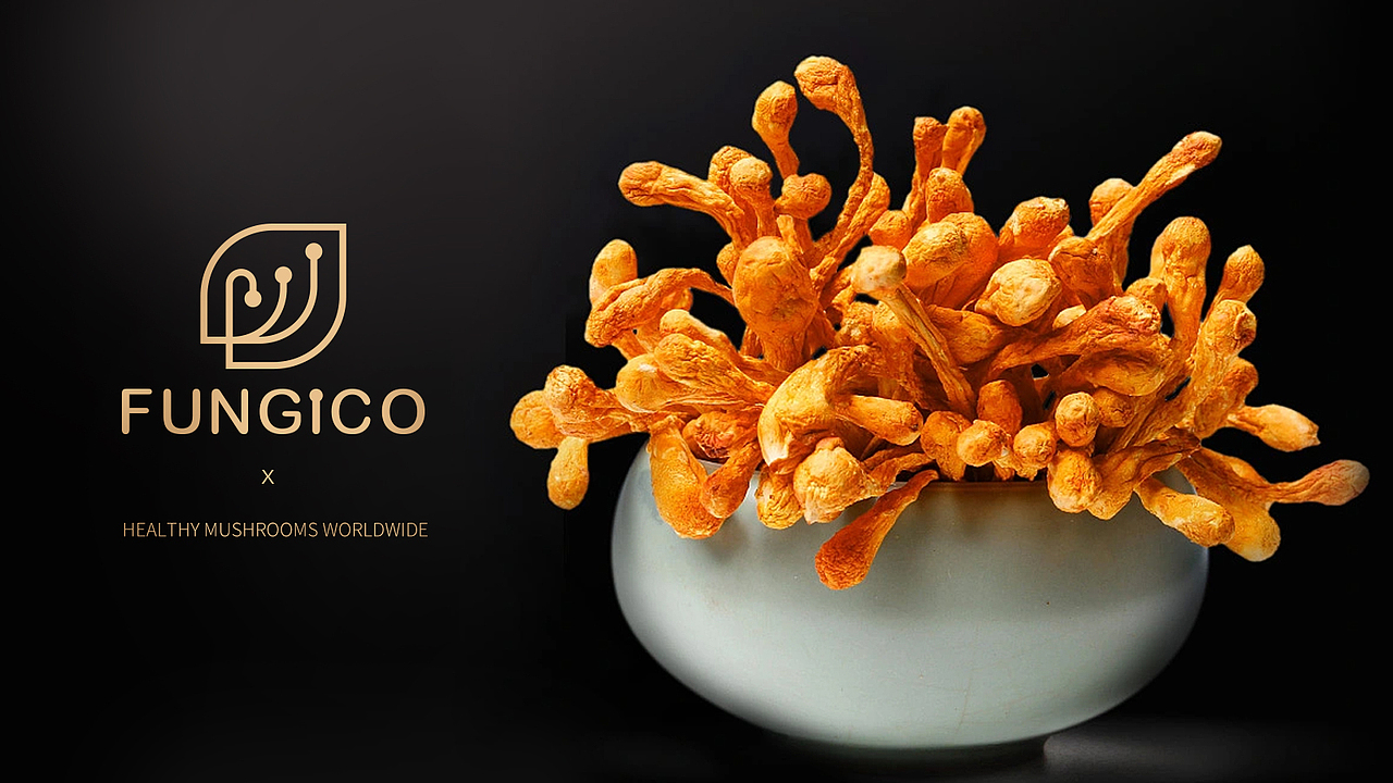 标志－波兰虫草－LOGO设计（图ZMzg3MjY4MzA0） - Logo - 站酷设计师O2菇凉原创素材 - 站酷ZCOOL