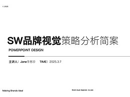 SW视觉升级策略方案
