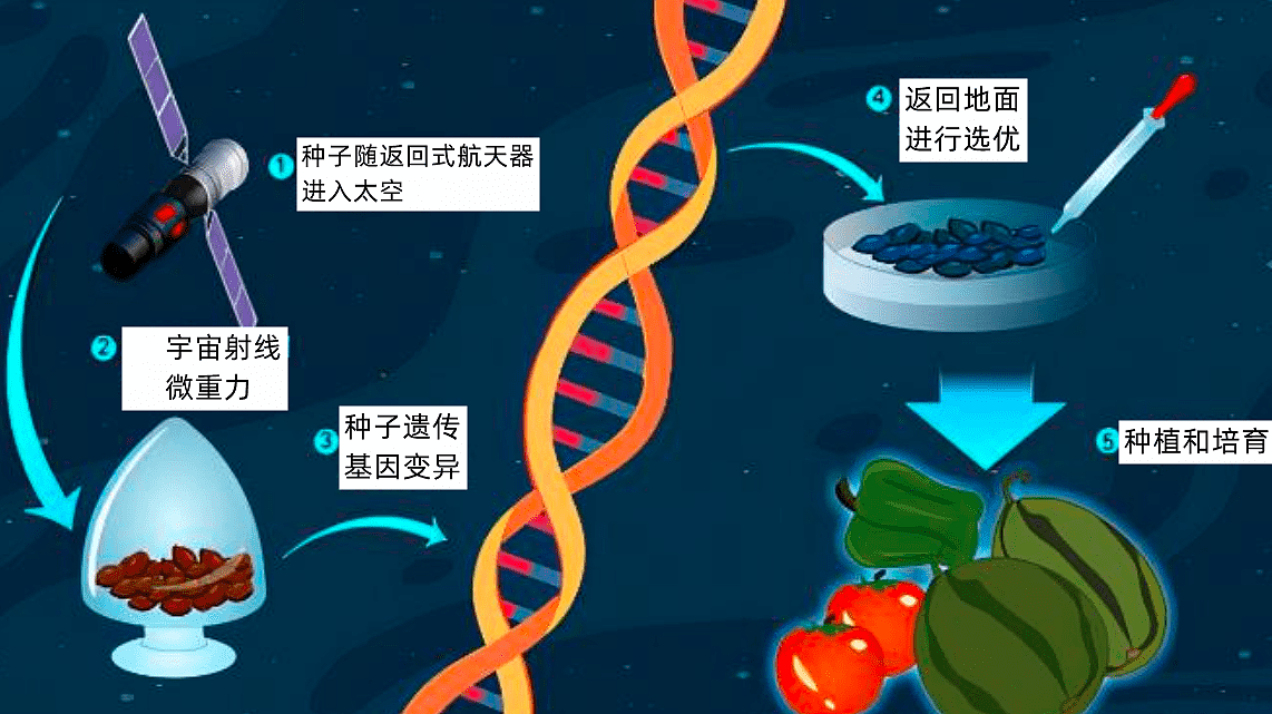 太空种子互动游戏-演示（图ZMzg3Mjg2OTI4） - 游戏UI - 站酷设计师九边设计原创素材 - 站酷ZCOOL