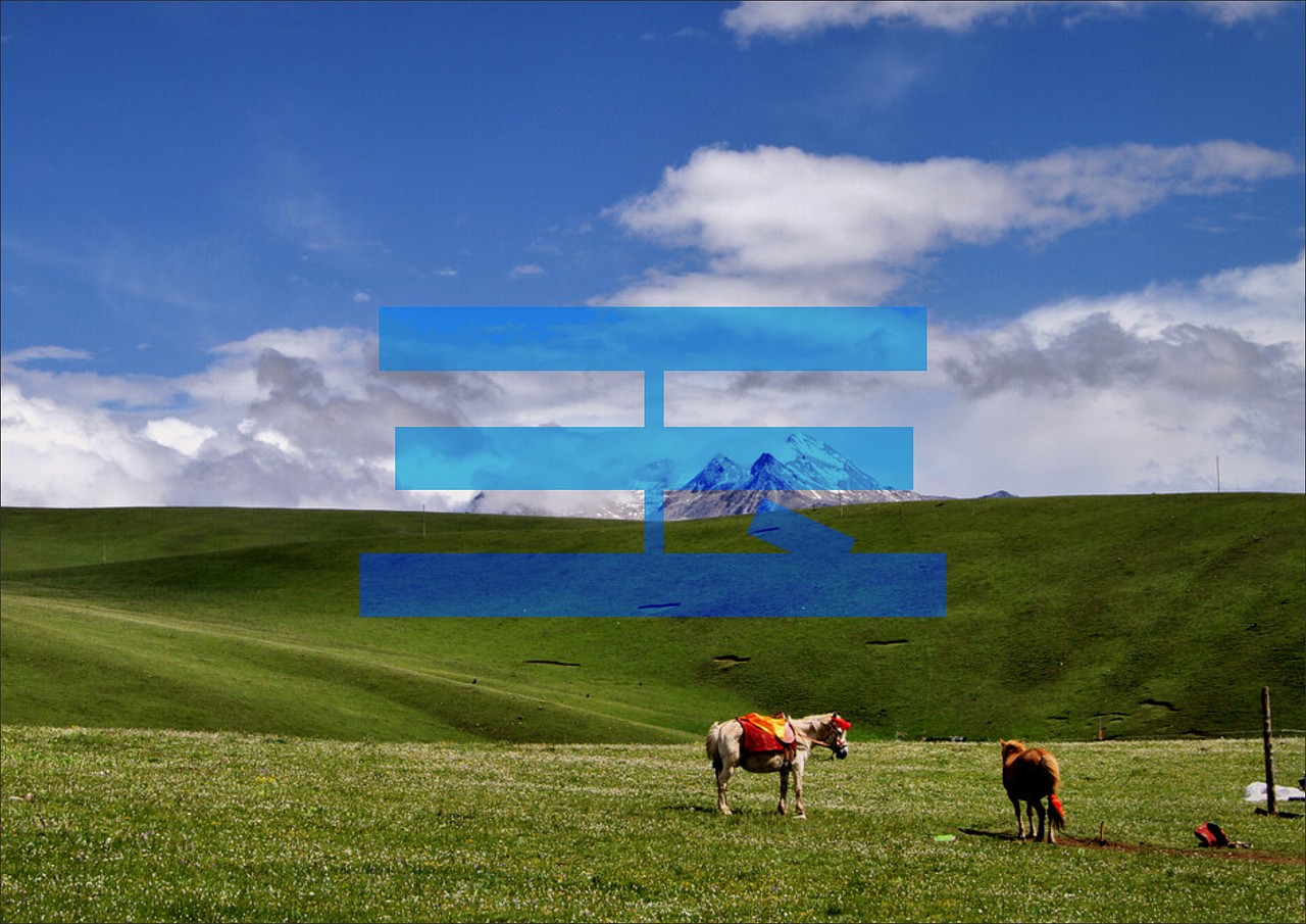 玉树文旅标志logo标识导视设计，打水漂方案大集锦