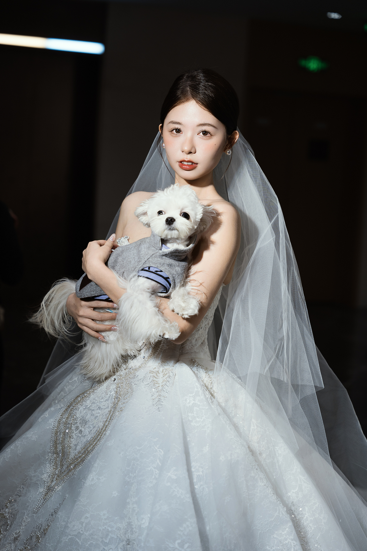 韩系婚礼美丽求求 | 新昌婚礼晚宴（图ZMzg3MzAyOTMy） - 婚礼摄影 - 站酷设计师秋咔咔原创素材 - 站酷ZCOOL