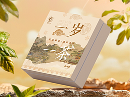 普洱茶包装设计