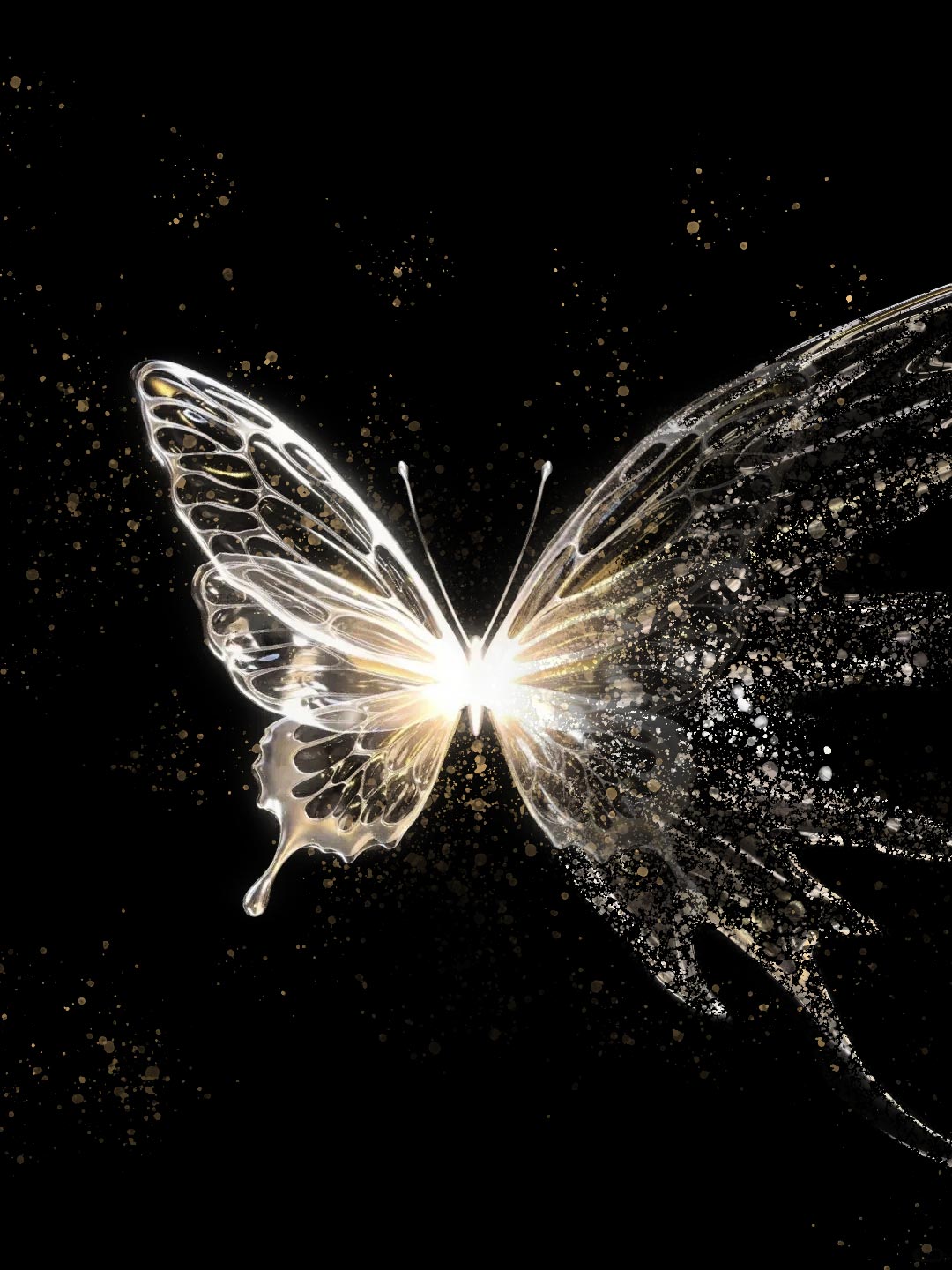 橘猫插画的个人主页（背景预览） - 主页背景设置 - 站酷设计师橘猫插画原创素材 - 站酷ZCOOL