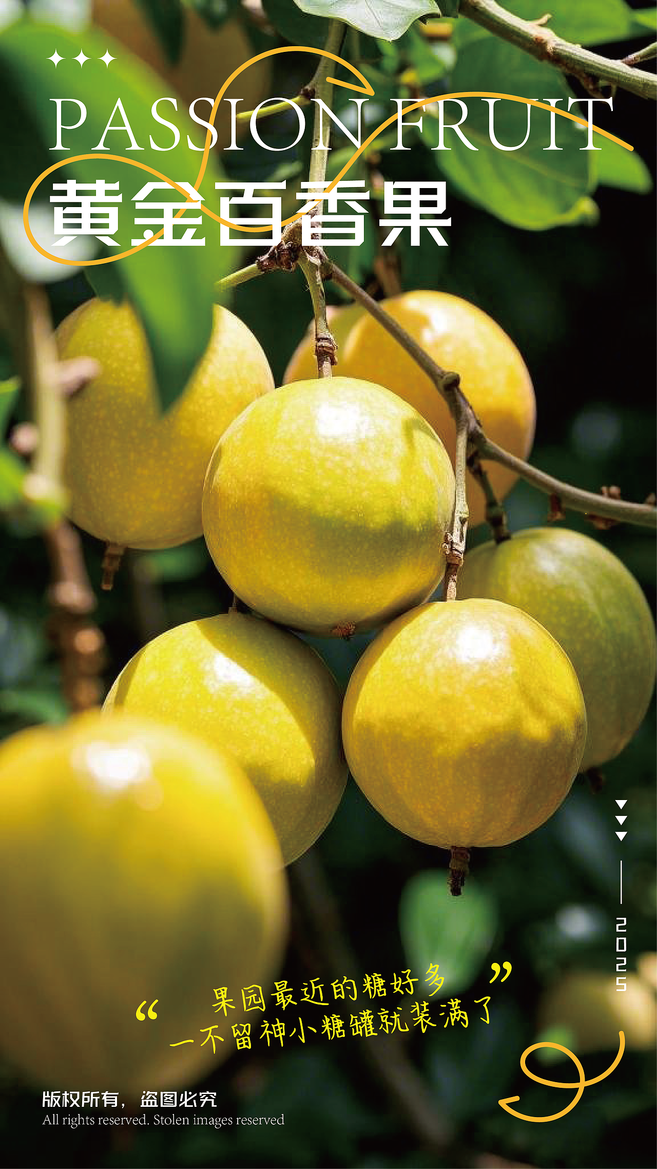 黄金百香果创意海报设计（图ZMzg3MzIwOTI0） - 海报 - 站酷设计师人间欢喜客原创素材 - 站酷ZCOOL
