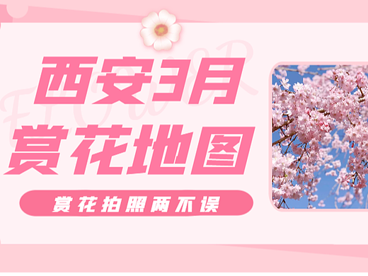 西安3月赏花指南!7大拍照宝藏地!定格春日浪漫!